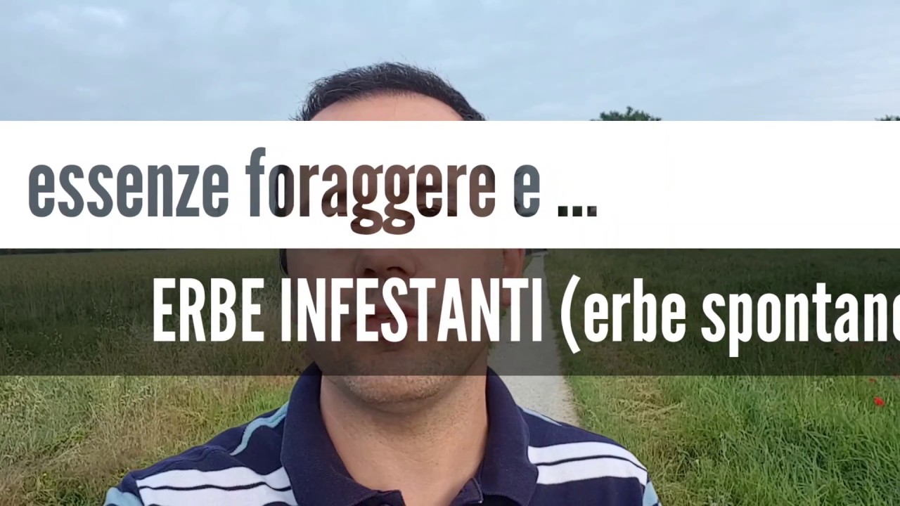 010 ERBE INFESTANTI essenze spontanee in campo