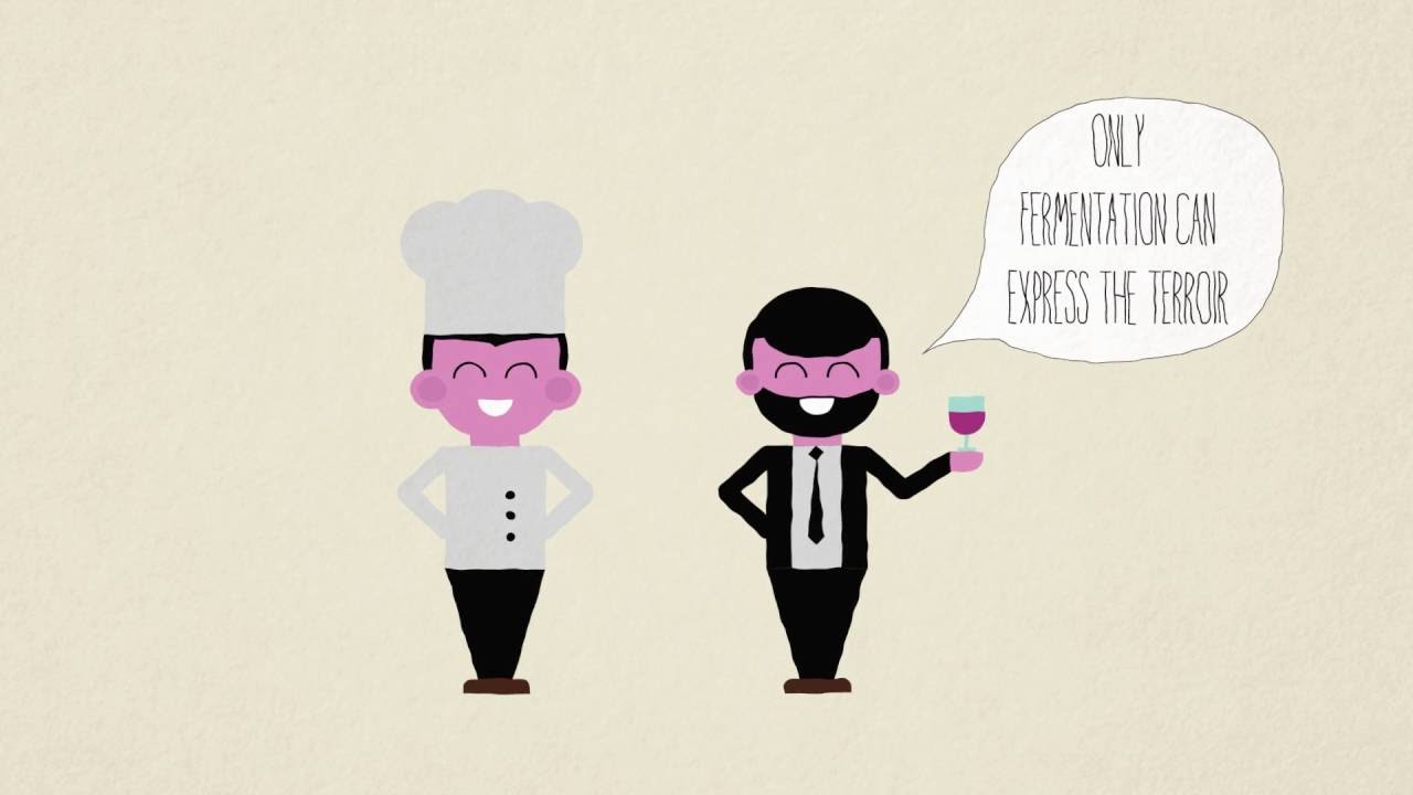 History of a French culinary renaissance