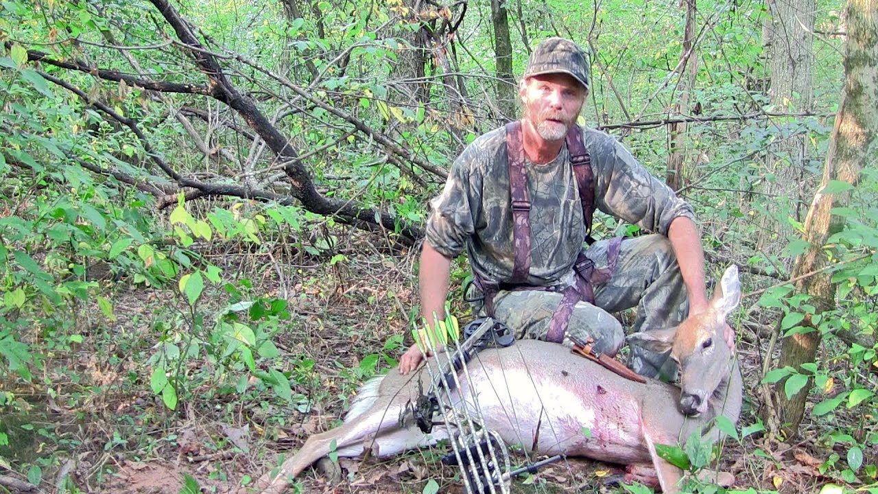 Public Land Treestand Placement