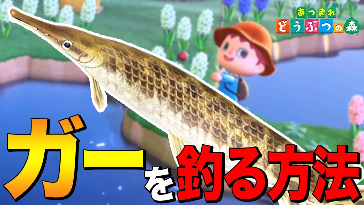 【あつ森】2億年モノの「ガー」を釣る方法 ～Gar～【あつまれ どうぶつの森】