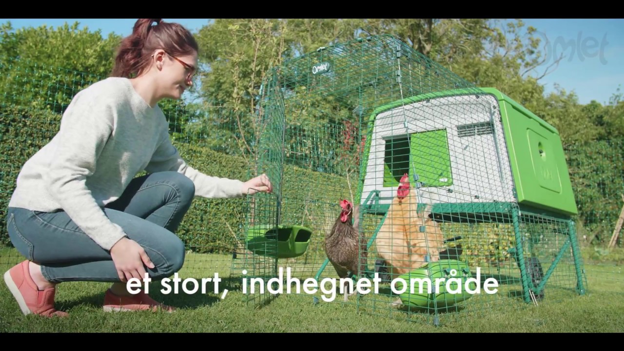 Hønsehegn (med låge) | Omlet Danmark