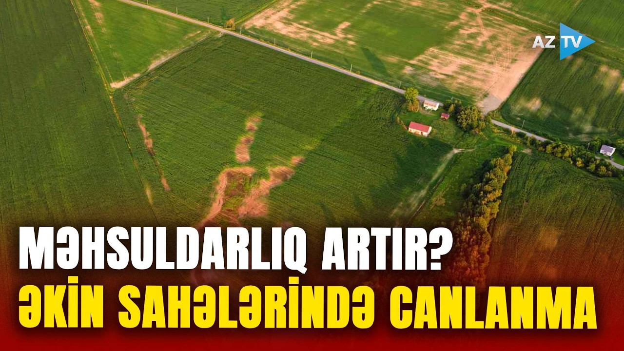 Su problemi ARADAN QALXIR? - Əkin işləri başladı, fermerlər SEVİNC İÇİNDƏ: məhsuldarlıq ARTACAQ?