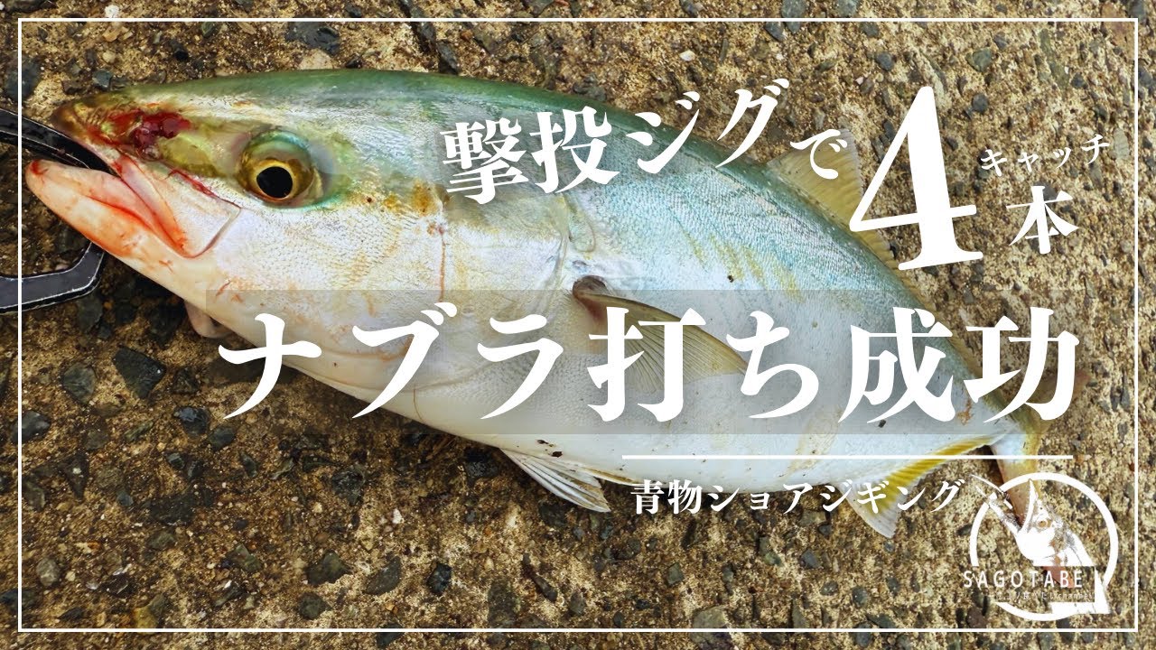 【ショアジギング】撃投ジグで4本キャッチ＆初めてのナブラ打ち成功
