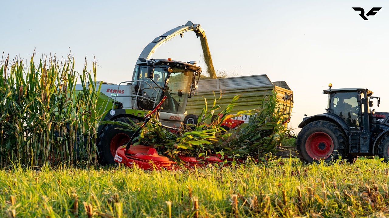 🔥 The NEW KEMPER 490 PRO & Claas Jaguar 970 🌽- Mais Silage 2025 #claas