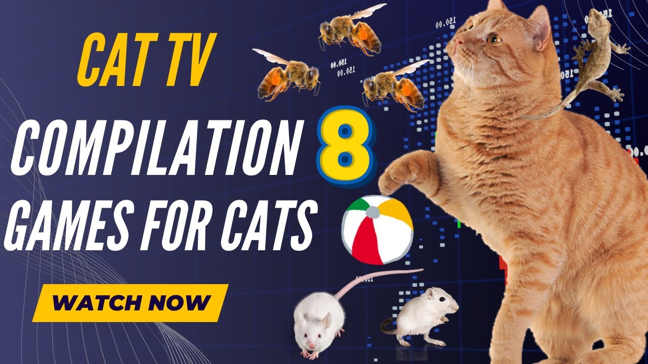 Best 3D Games for Cats | Cat TV Compilation 8 🐱🦋🐝🐦🐭🦎🐟🐛 | 4K - 60 FPS