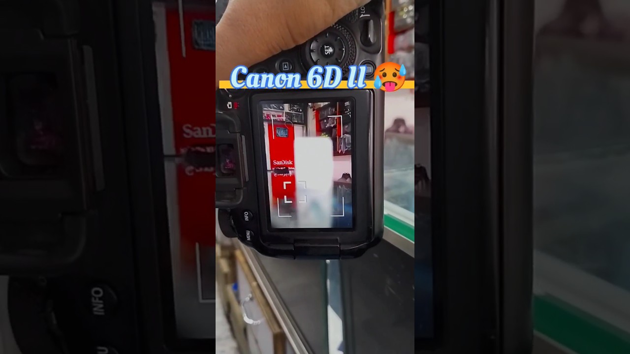 #canon 6D mark II 🥵 photography with 50mm STM lens #best #camera #in #full #frame