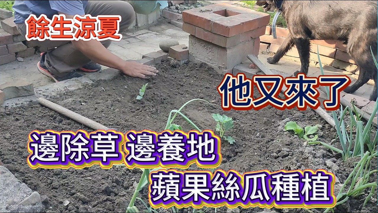 [餘生涼夏]04_1 遮陽布局 蘋果絲瓜種植\除草整地 培養地力 環境改善\封閉性堆草槽設置