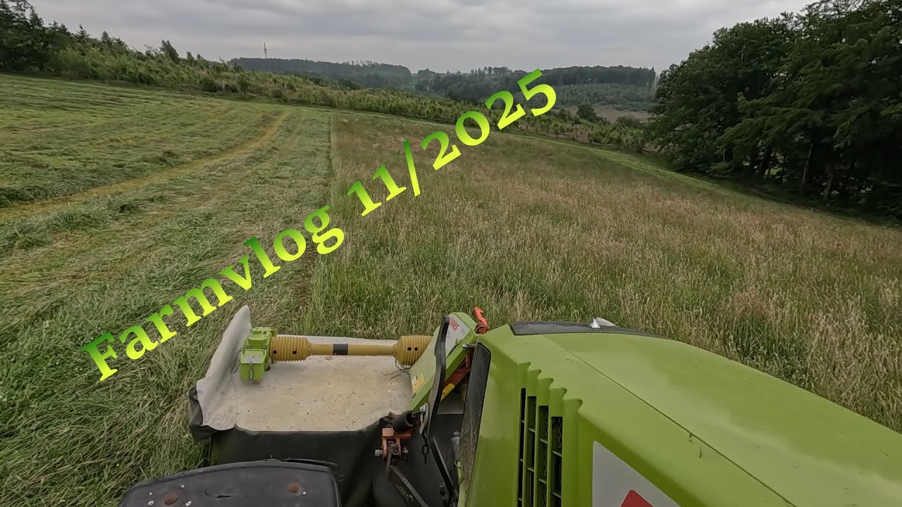Farmvlog 11/2025 Endlich gehts ins Silo 1.Schnitt 2025