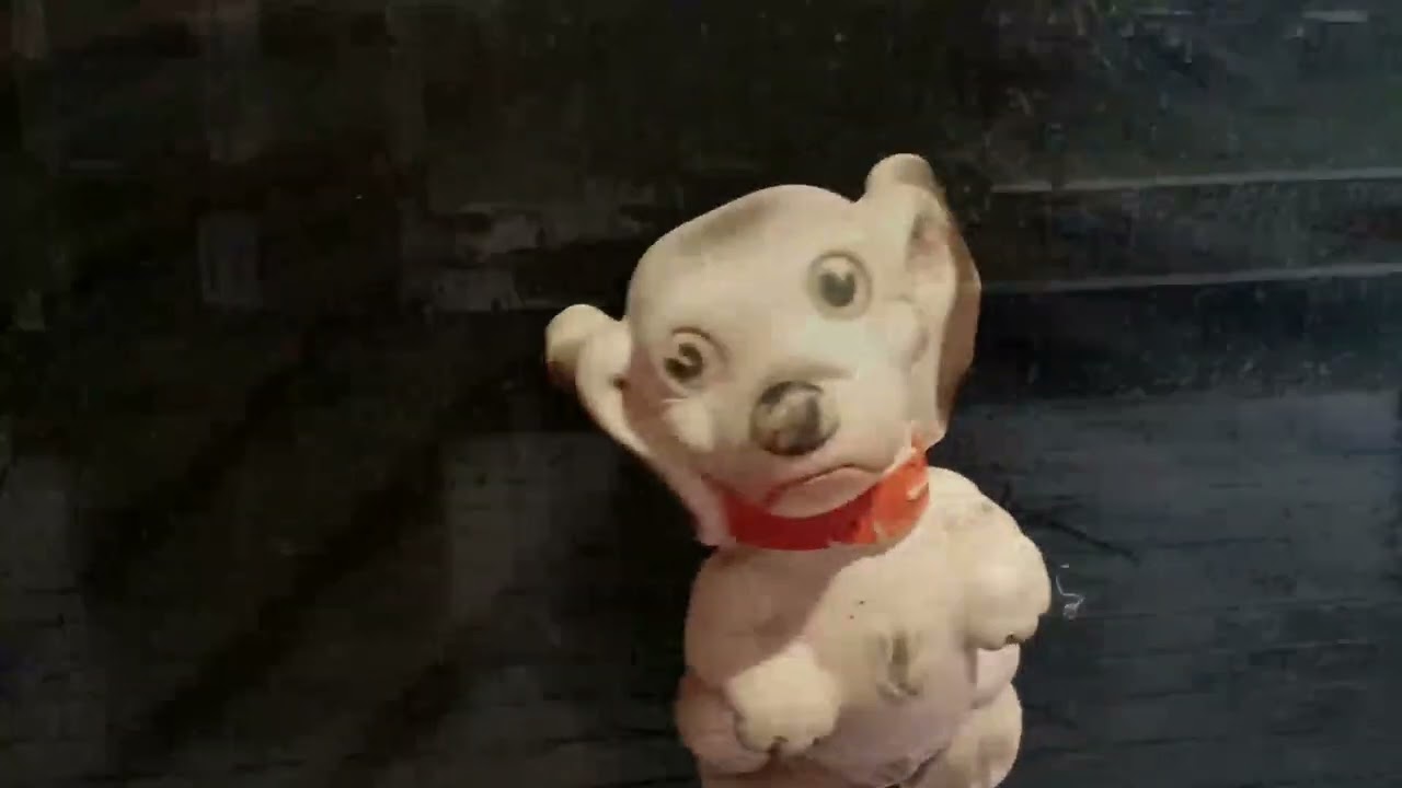 TEMPS DE CHIEN