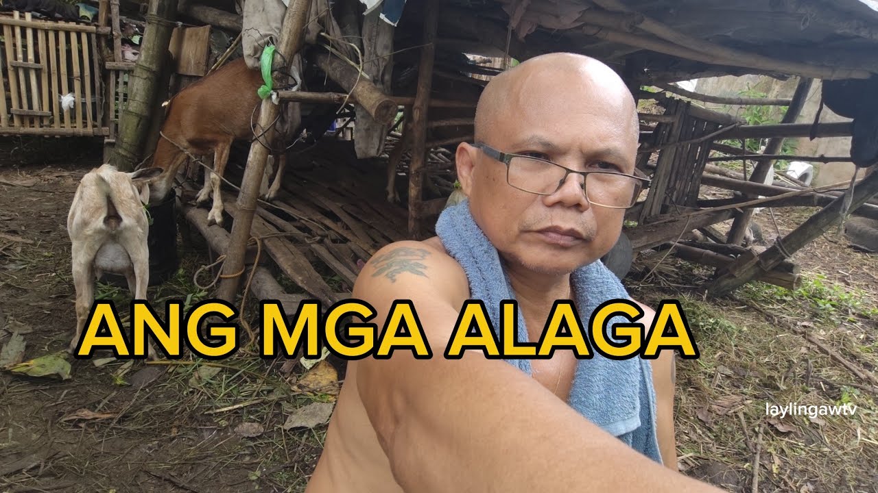 MULING GAGAWA NG PAGKAIN NG AKING ALAGA