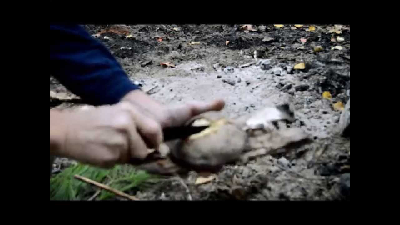 Bush Bread - No Pots, No Pans, No Problem !