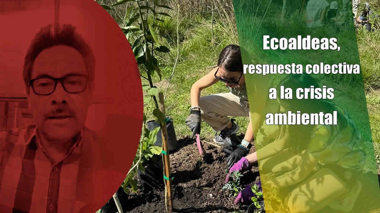 Ecoaldeas, respuesta colectiva a la crisis ambientall