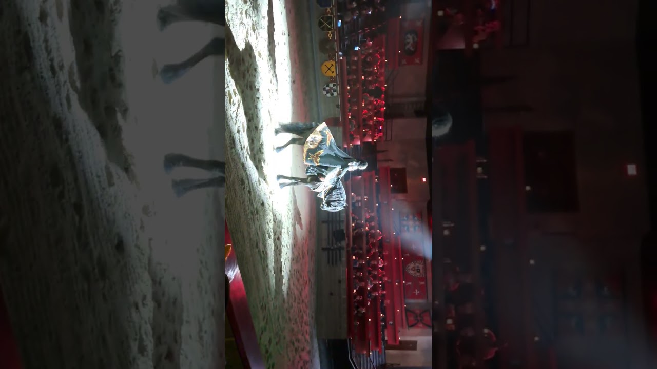 Medieval Times was awesome!!!!!!!