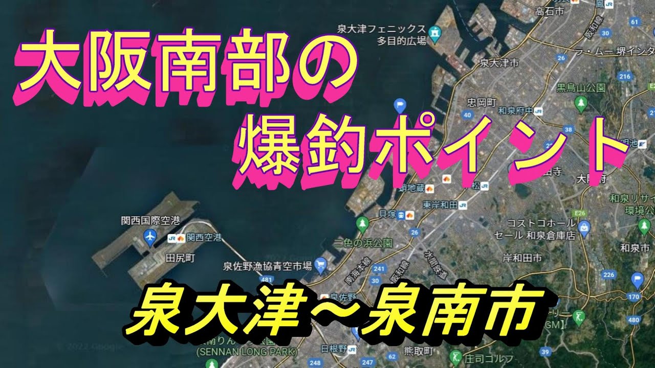 青物、タコ、アジ、シーバスなど南大阪の爆釣ポイントを紹介