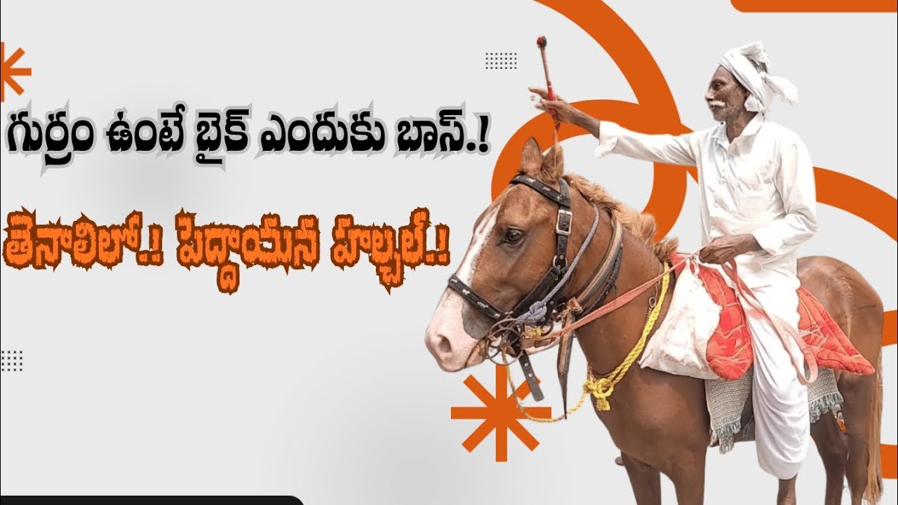 TENALI NEWS 13/10/2025 : గుర్రం ఉంటే బైక్ ఎందుకు బాస్.! తెనాలిలో.! పెద్దాయన హల్చల్.!