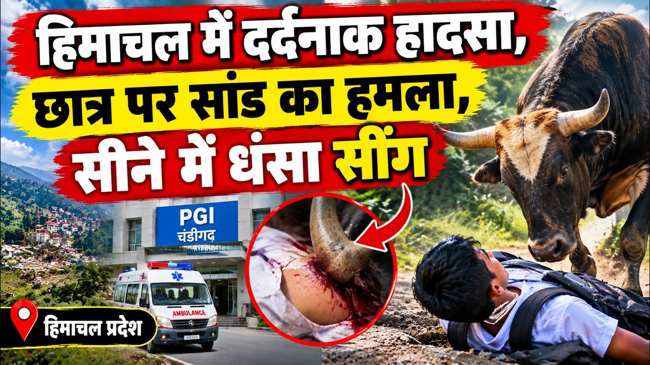 हिमाचल के कांगड़ा में दर्दनाक हादसा || Kangra News || Himachal Breaking News ||