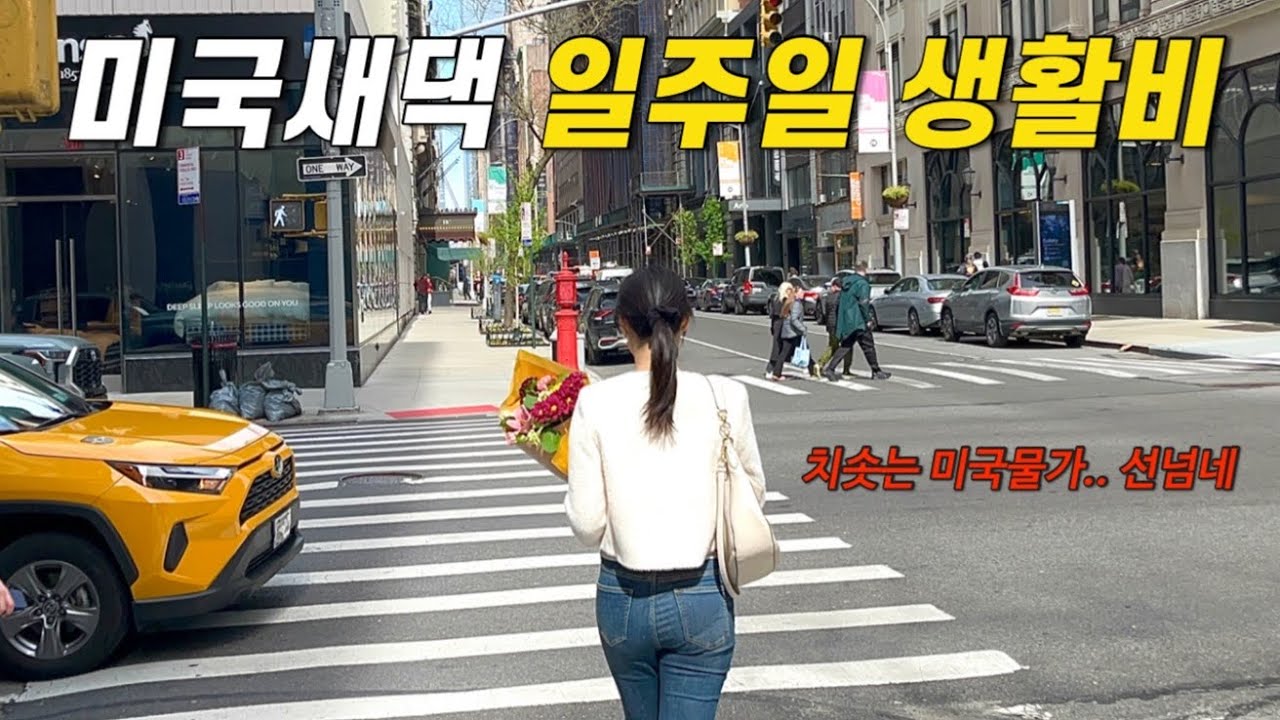 🇺🇸새댁이에요,, 일주일 생활비 00달러?! 장보기, 점심값, 외식 물가 공개. 치솟는 미국 물가에서 살아남기