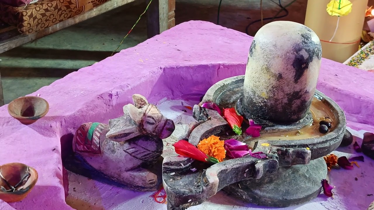 Shrimad Bhagwat Katha mein #pitaji ka Sangeet mein karykram #trending #shortvideo #bhajan 