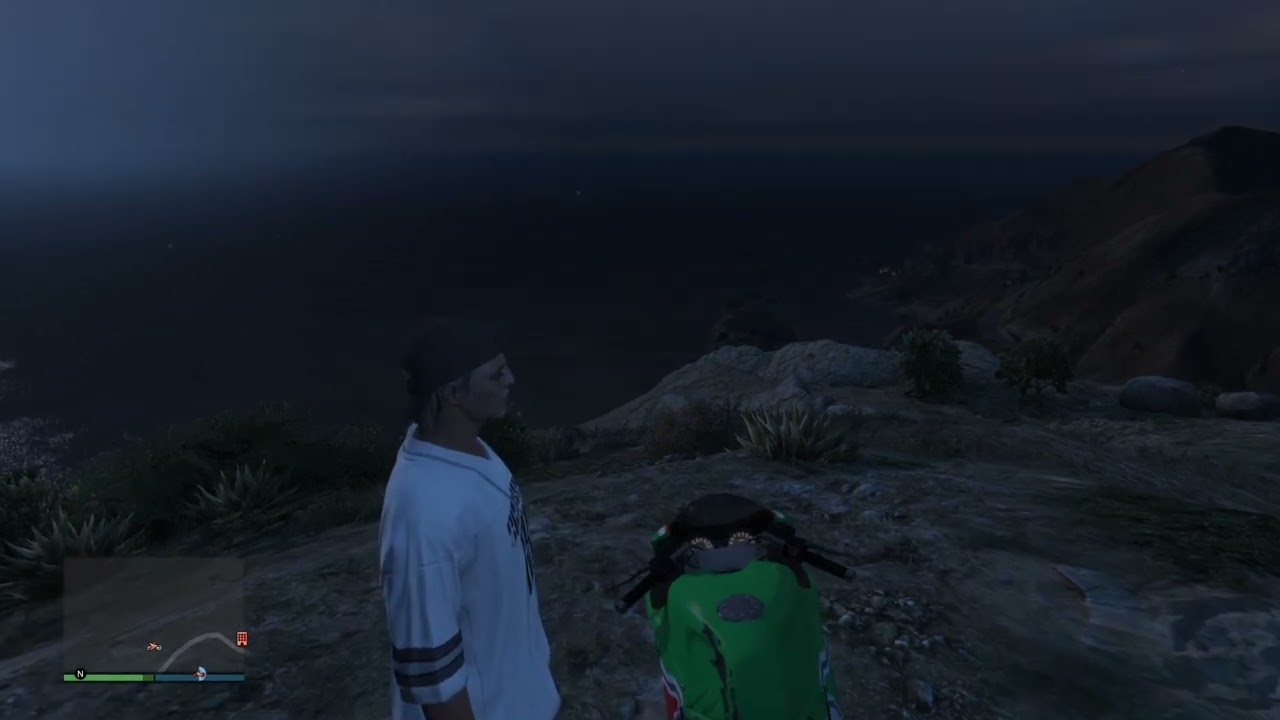 Grand Theft Auto V HAYALET