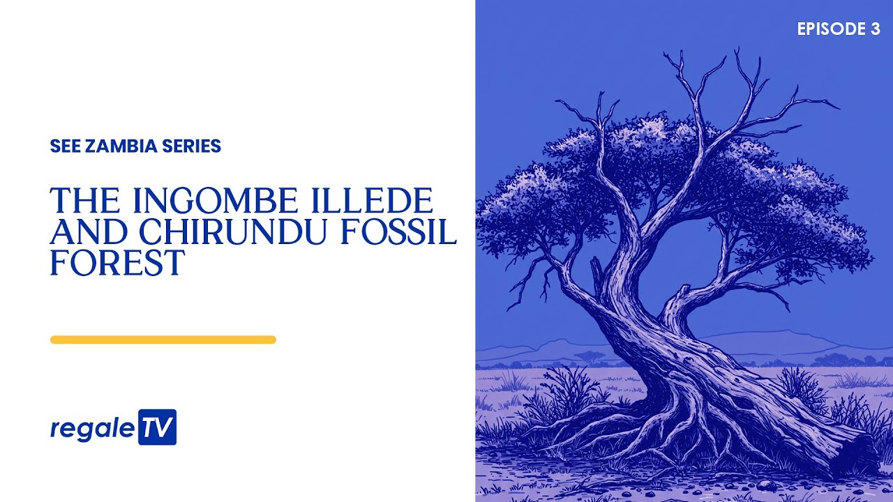 See Zambia Series: Episode 3 - Ingombe Illede and Chirundu Fossil Forest