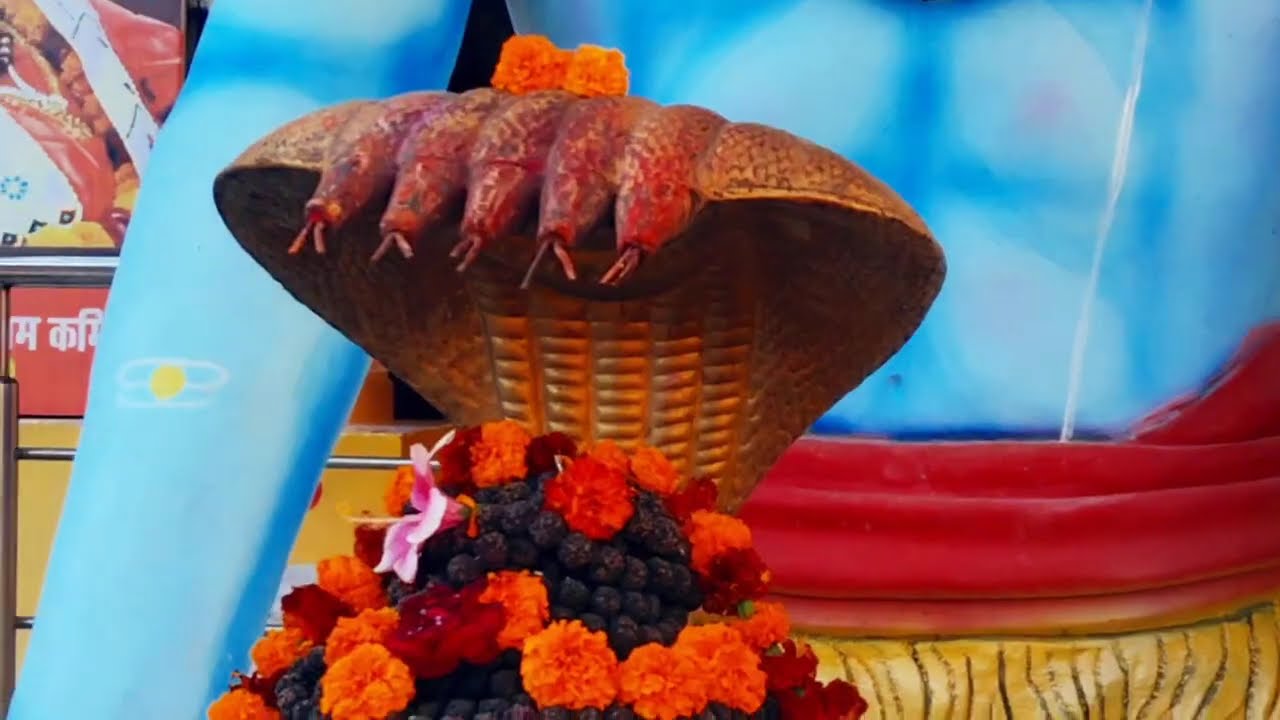21 फरवरी फाल्गुन शनिवार चतुर्थी तिथि के दिन 1 कटोरी सरसों तेल वाला उपाय जरुर करें,#pradeepmishraupay