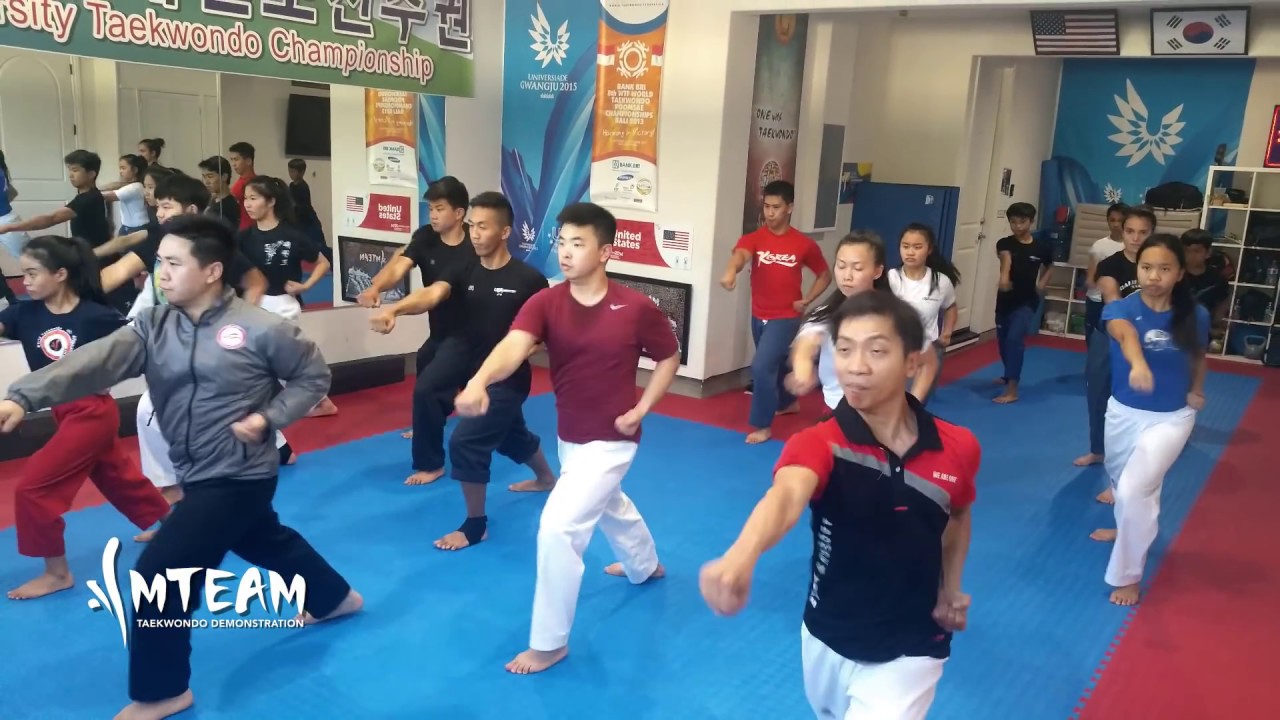 Team-M Taekwondo: 2016 training, fails, & more!