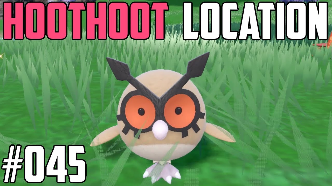 How to Catch Hoothoot - Pok&eacute;mon Scarlet & Violet (DLC)