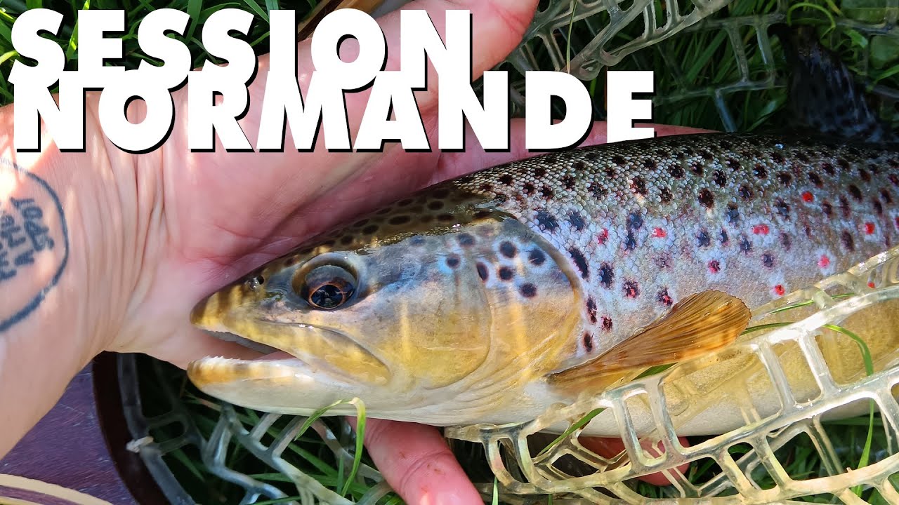 GROSSES TRUITES à la cuiller et au HairJig en NORMANDIE 