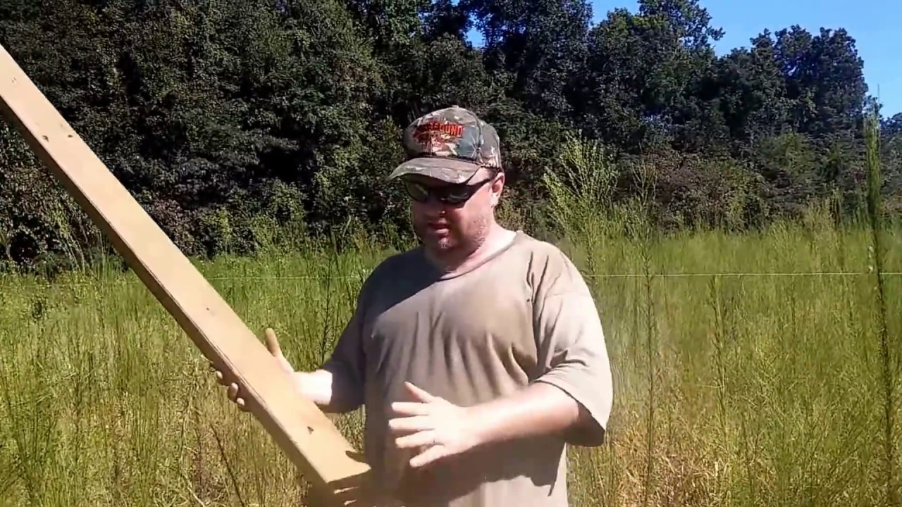 planting cedar trees on the homestead