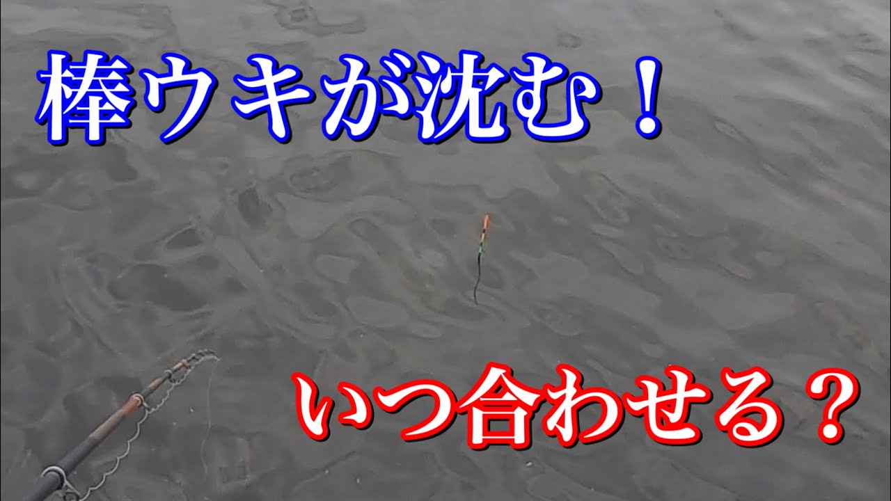 【チヌフカセ釣り】棒ウキが沈む！合わせのタイミング