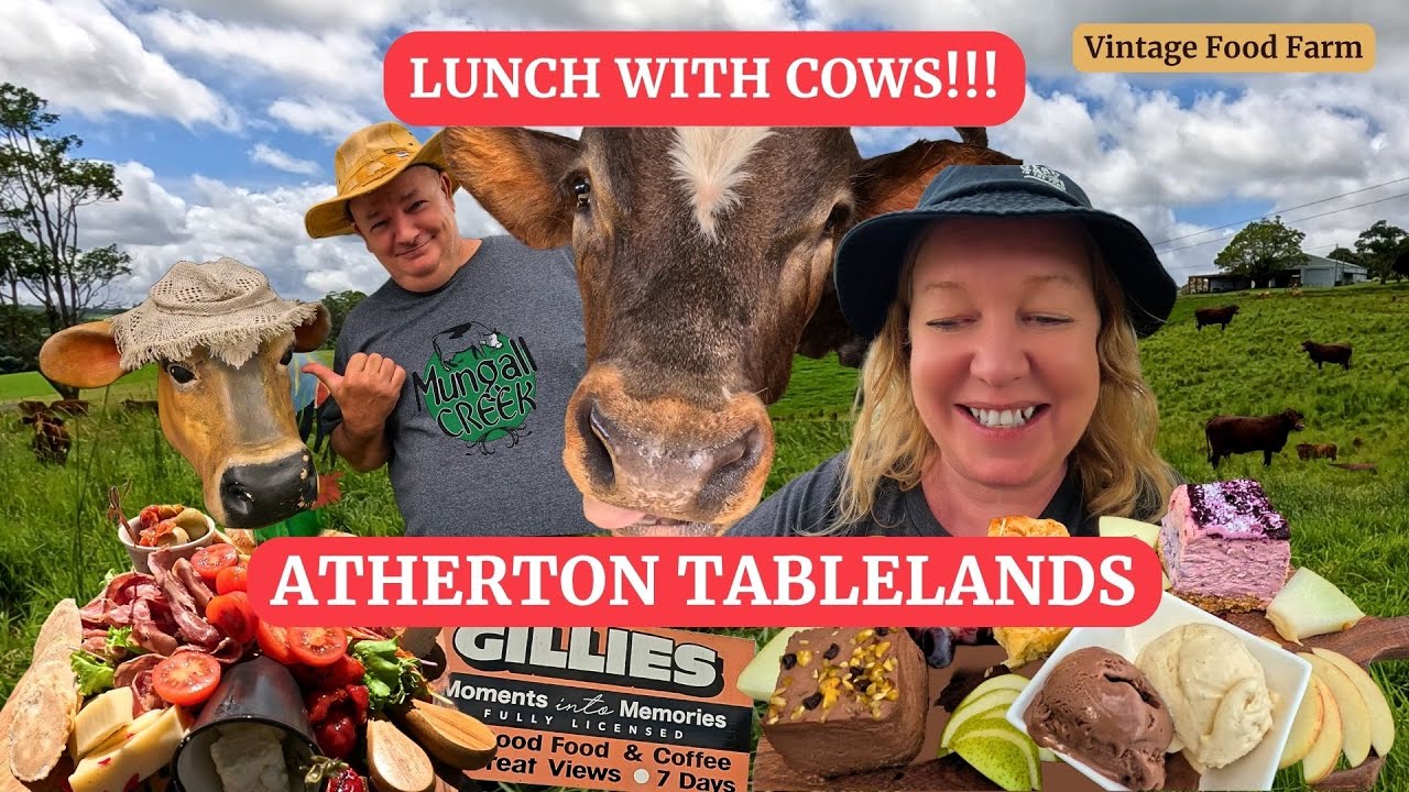 Atherton Tablelands🐄 Far North Queensland, Australia!😋