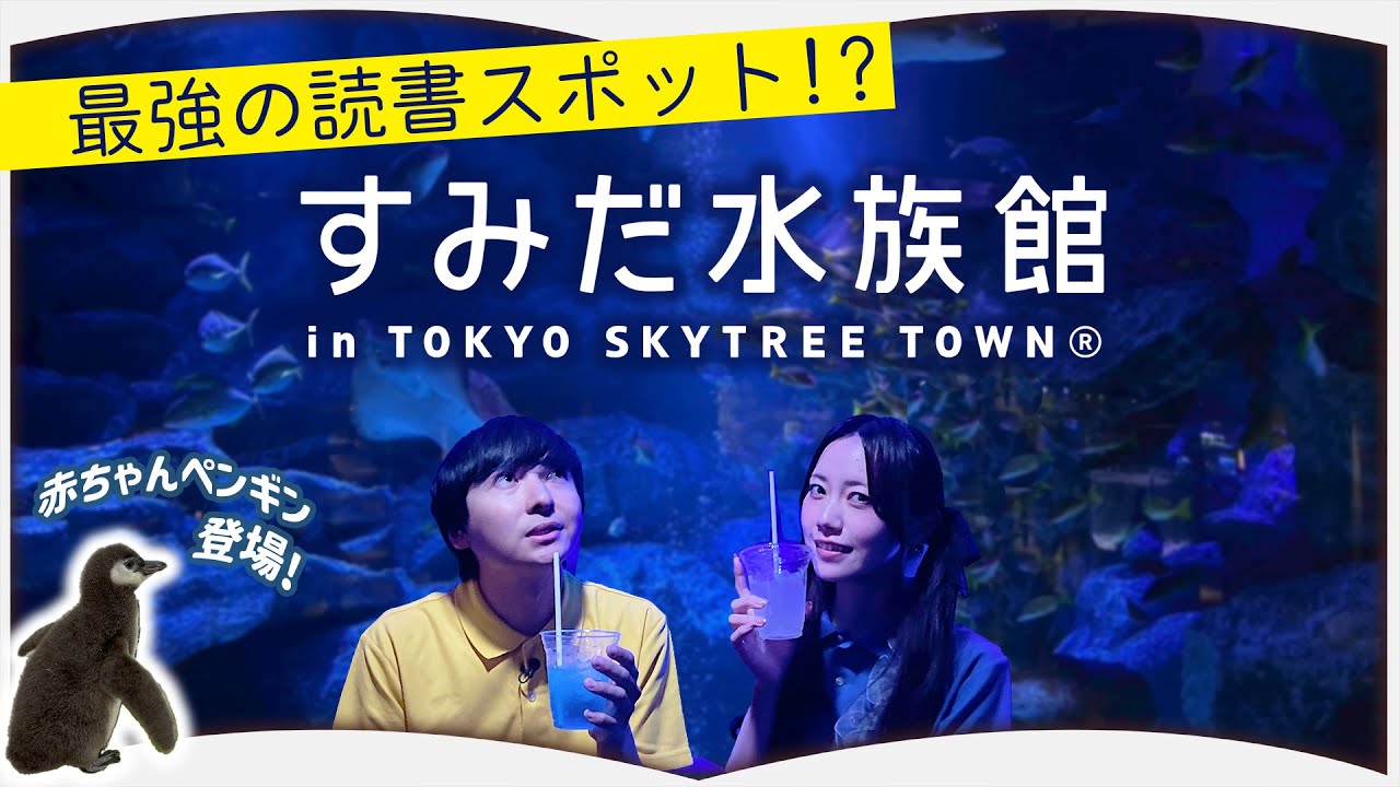 水族館で読書したことありますか？【タメトーーク！#13】