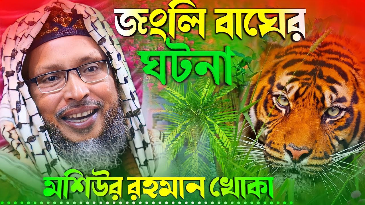 আফ্রিকার জঙ্গলে জংলী বাঘের ঘটনা ! খোকা মাওলানা নতুন ওয়াজ ! khoka maulana jalsa ! moshiur rahman waz