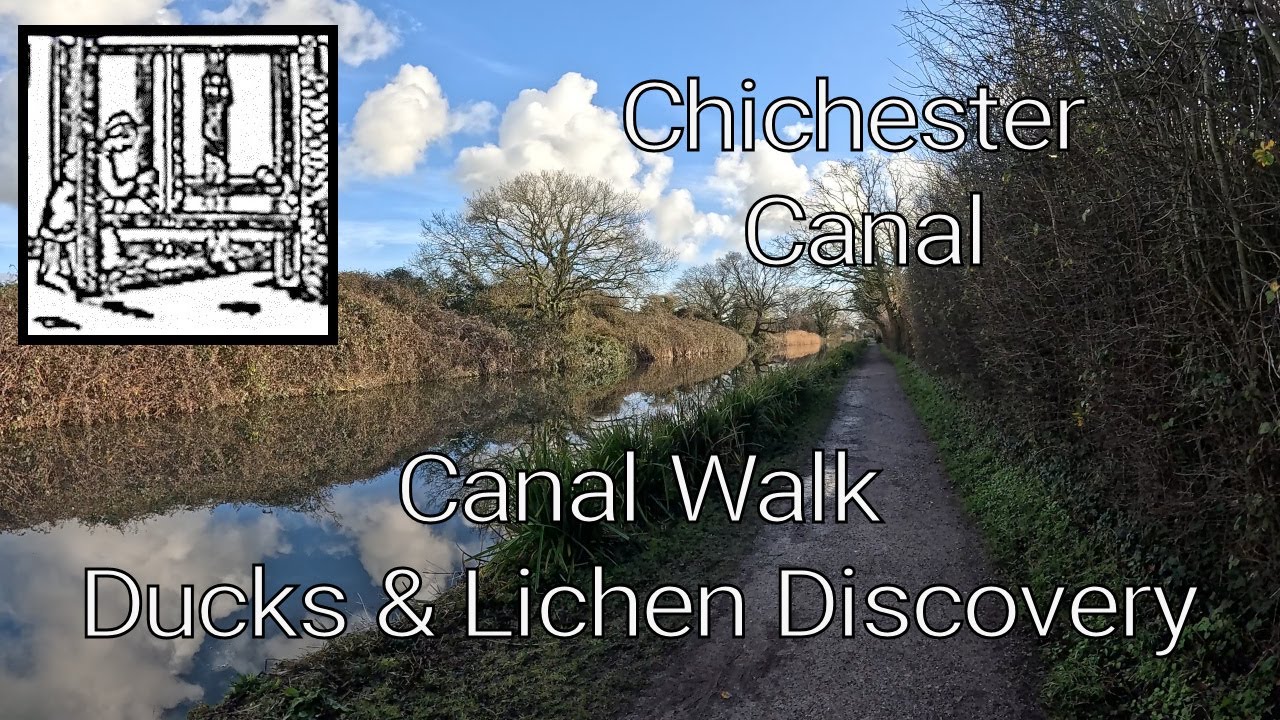 DUCKS & LICHEN DISCOVERY - CANAL WALK #naturewalk #canalwalk