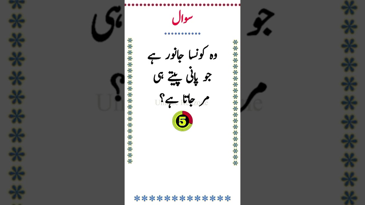 Paheliyan in Urdu #shorts #youtubeshorts