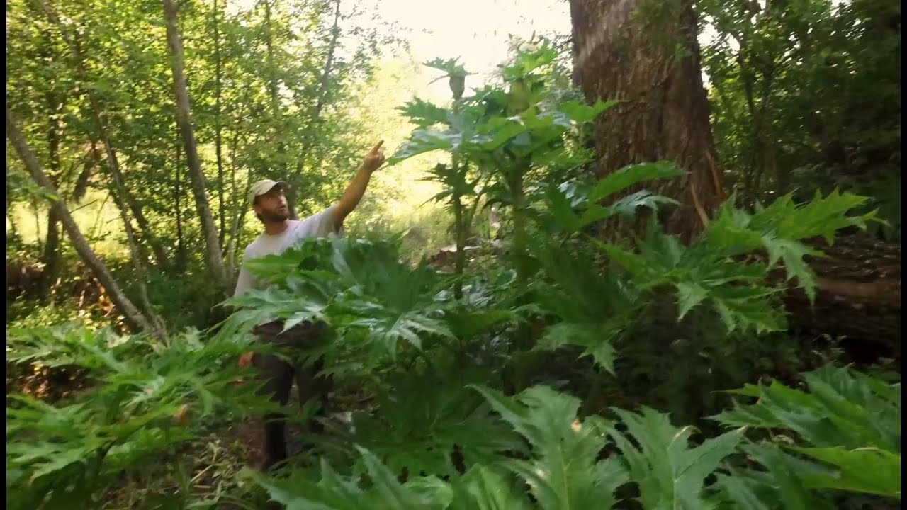 Extrait du documentaire 