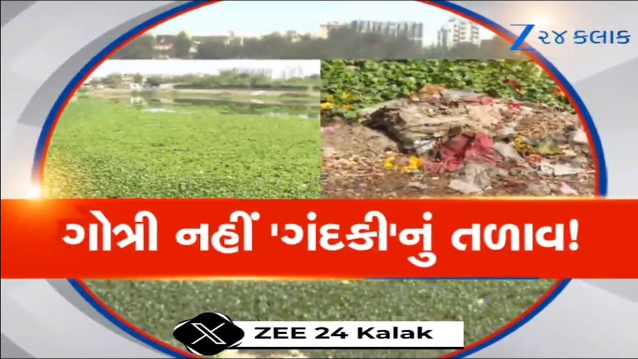 Vadodara: જળકુંભીના કારણે ગોત્રી તળાવની મરણપથારી! કરોડો રૂપિયાના ખર્ચ બાદ પણ ગંદકીનો અંબાર