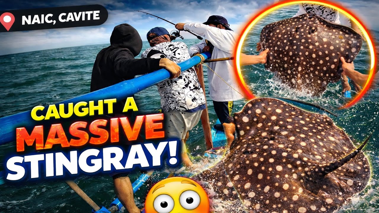 Nagulat kami sa aming nahuli sa Naic, Cavite #fishing #cavite #philippines