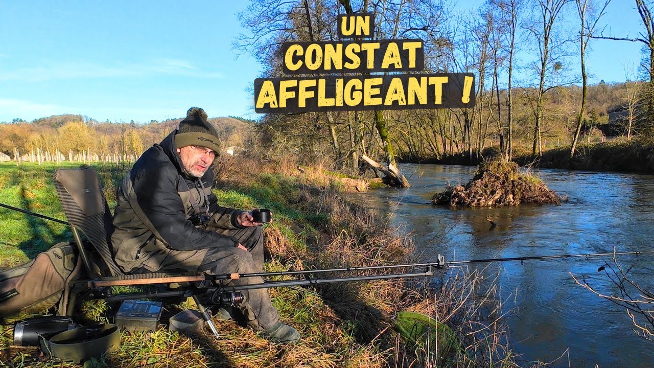 Cette situation devient un vrai cauchemar pour nos poissons !