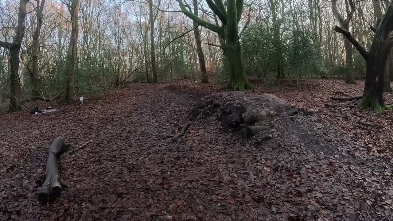 Traxxas mini maxx seven hills lilford woods 
