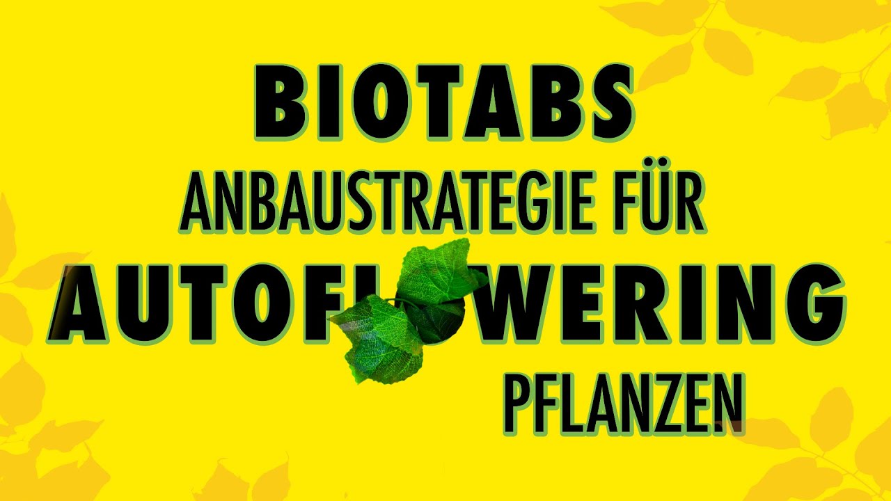 BioTabs anbaustrategie f&uuml;r autoflowering pflanzen