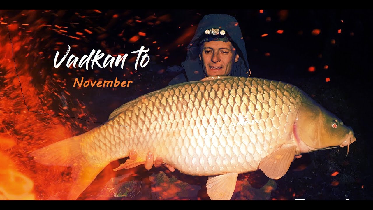 Szavak nélkül - novemberi Vadkan tó