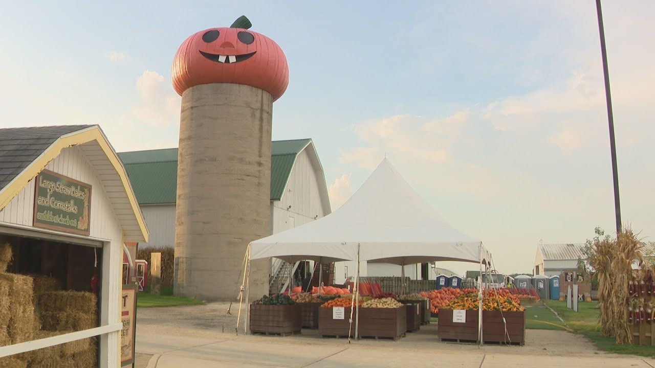 Weekend Break: Goebbert&rsquo;s Farm in Pingree Grove - WGN News at 5