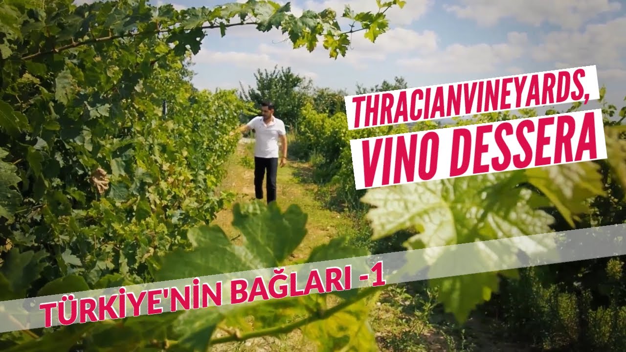 Gastronomi Rotası; ThracianVineyards, Vino Dessera