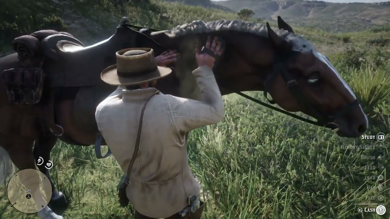 Red Dead Redemption 2