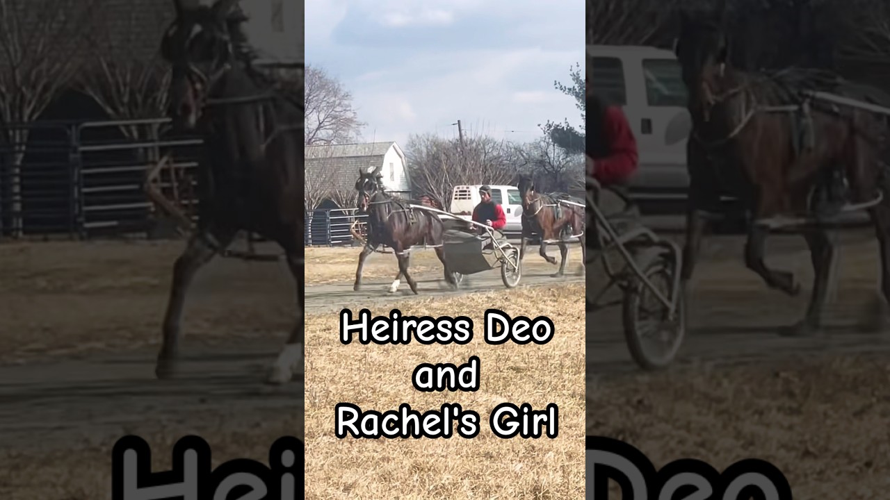 Heiress Deo and Rachel's Girl 