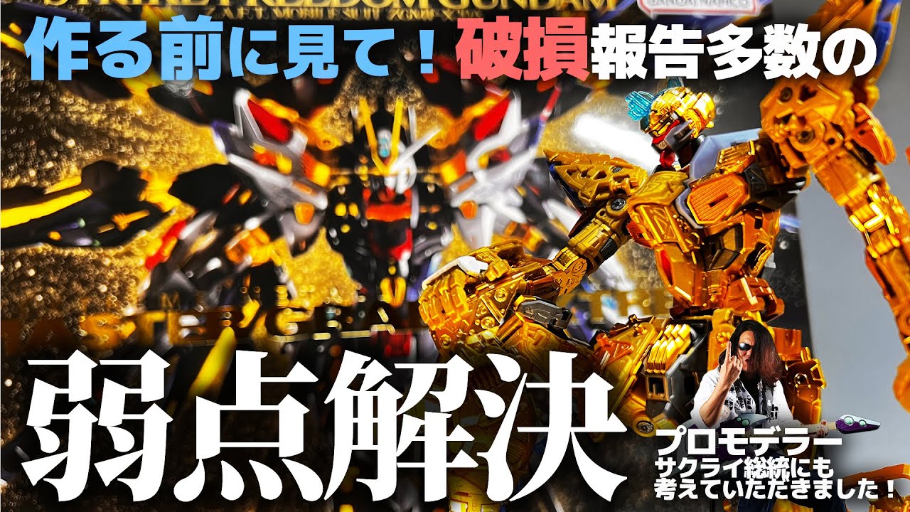 破損報告多数！MGEXストライクフリーダムガンダム唯一の弱点を修正解説！今年最高のガンプラをより高みへ！プロモデラーサクライ総統の修正案を実践してみた！