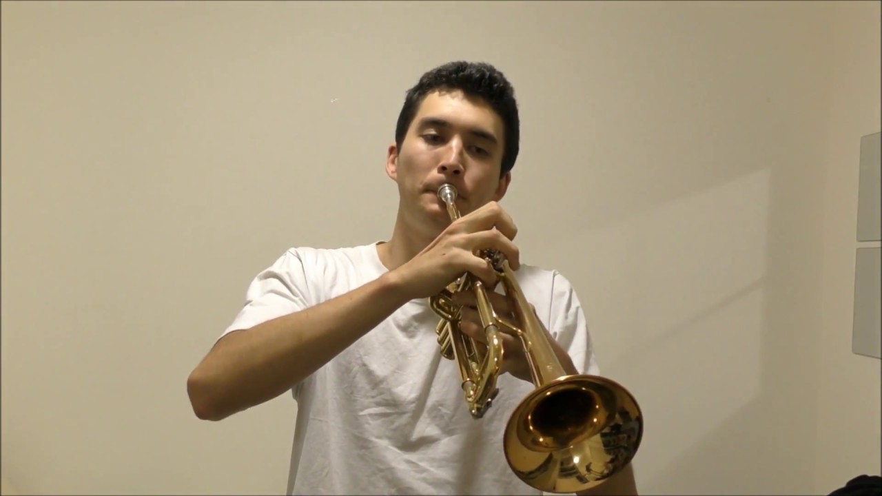 Castle in the Sky - 君をのせて (Carrying You) - Trumpet