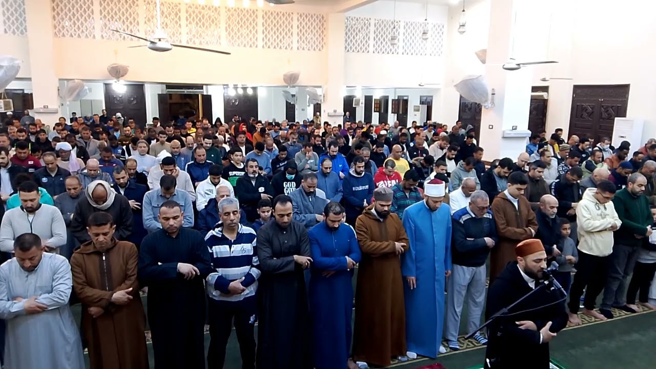 صلاة التراويح | برواية ابن وردان عن أبي جعفر | القارئ محمود سلمان 