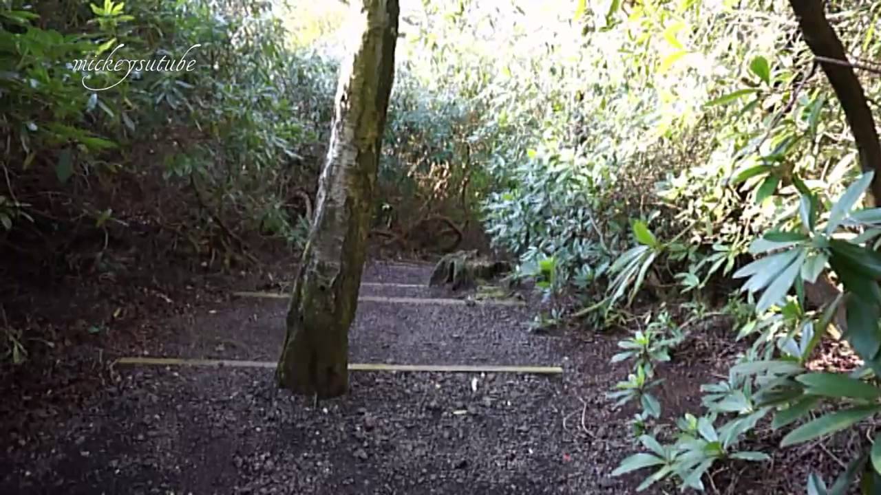 Hawkstone Park Follies Part 3